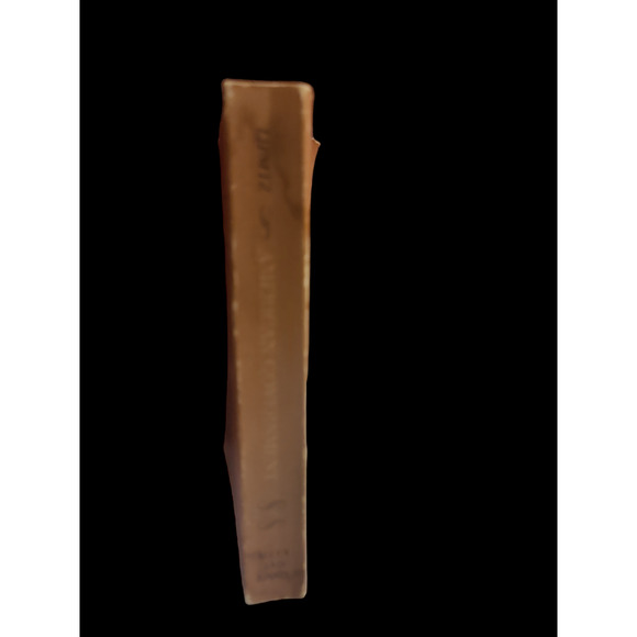 American Government Behavior & ,Controversy - Picture 2 of 3